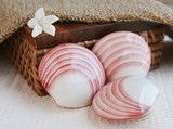 massage coquilages chauffants esthéticienne pomérols pom'beauté florensac pinet